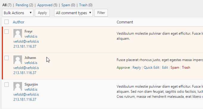 Myndin sýnir athugasemdir í WordPress