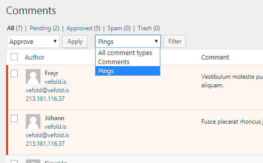 Myndin sýnir hvernig þú getur filterað WordPress athugasemdir