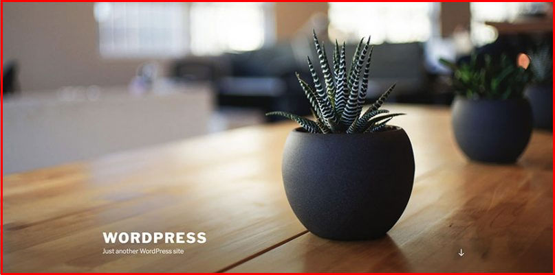 WordPress haus í stöðluðu útliti