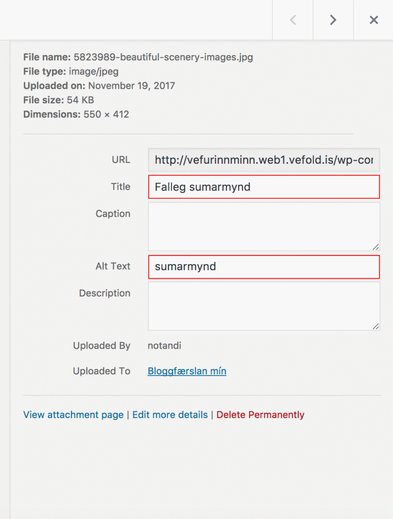Mynd sem sýnir Titil og alt tag í WordPress
