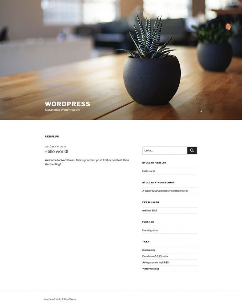 WordPress vefur staðlað útlit