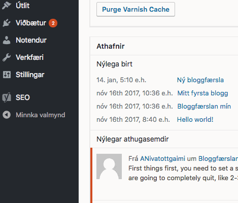 Leitarvélabestun í Yoast. Search Appearance.